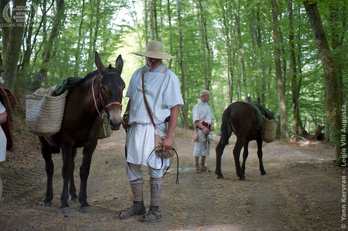 Les mules : forçats de la route