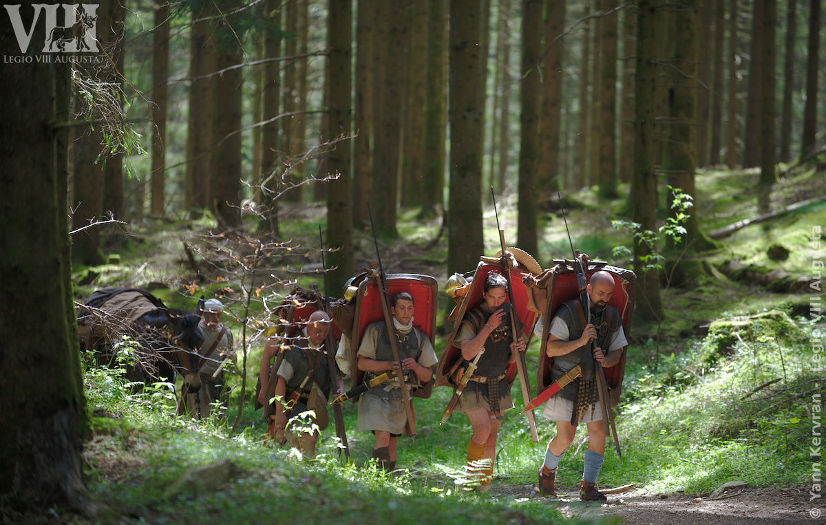 Les Mules de Marius au XXIème siècle