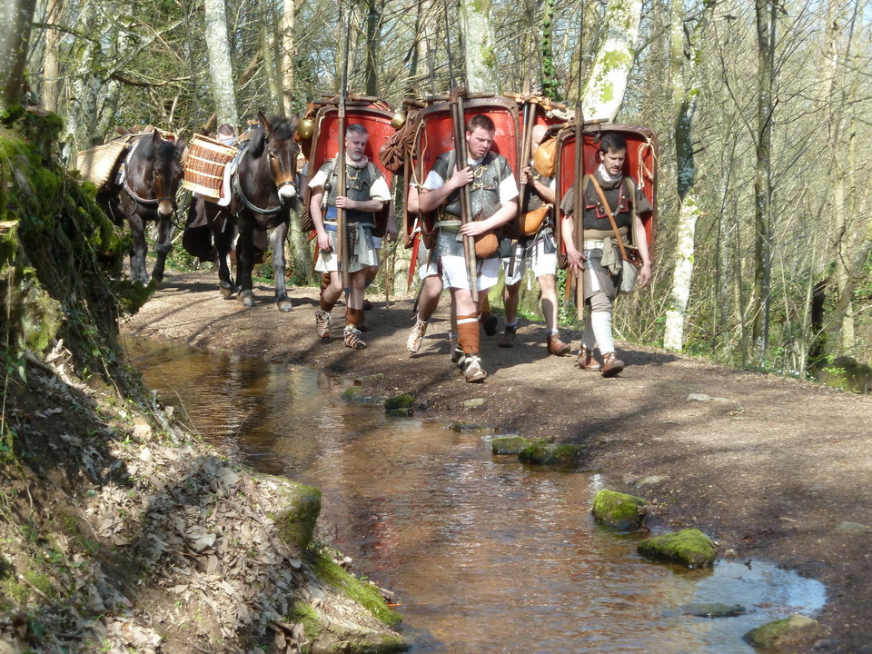 Muli mariani et muli